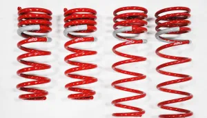 1994-1999 Toyota Celica DF210 Springs by Tanabe (TDF083)