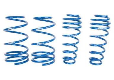 2005-2014 Roush Mustang Lowering Springs