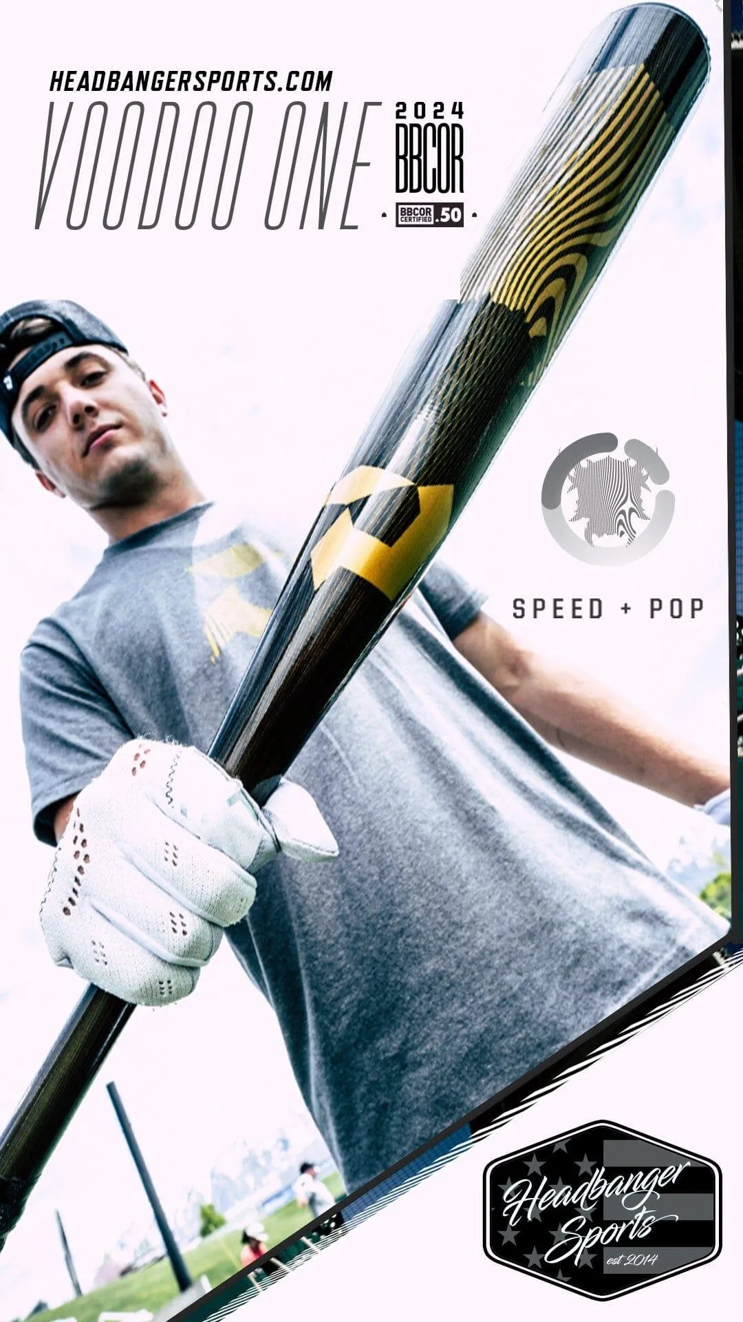 2024 DeMarini Voodoo One (-3) BBCOR Baseball Bat: WBD2461010