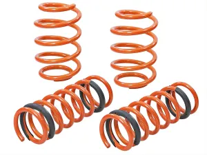 aFe Control Lowering Springs 410-302001-N