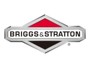 Briggs & Stratton - 30814 - P4500 Watt Inverter - Remote Start