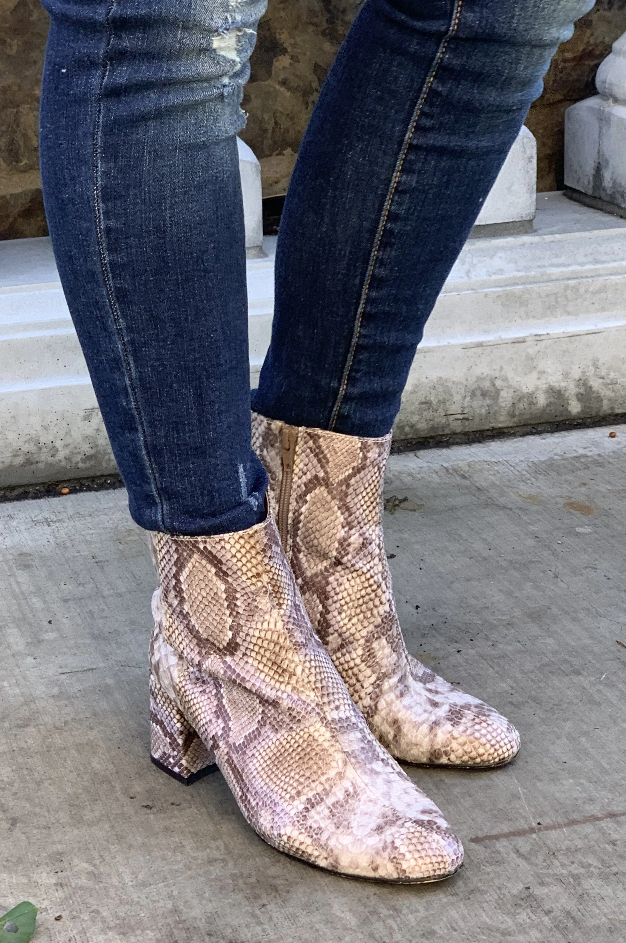 Chinese Laundry Daria Block Heel Snake Skin  Booties