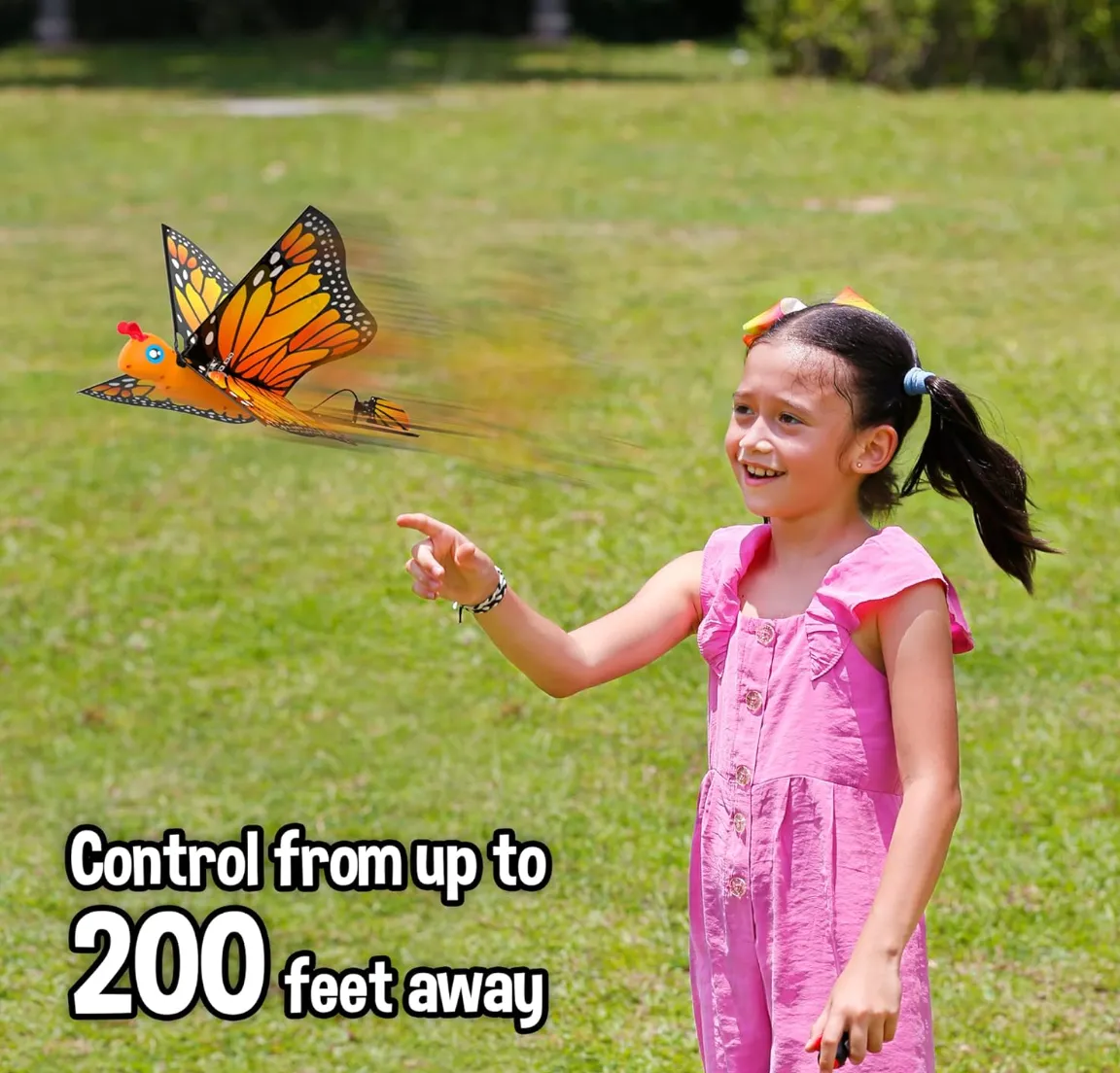 Go Go Bird Butterfly