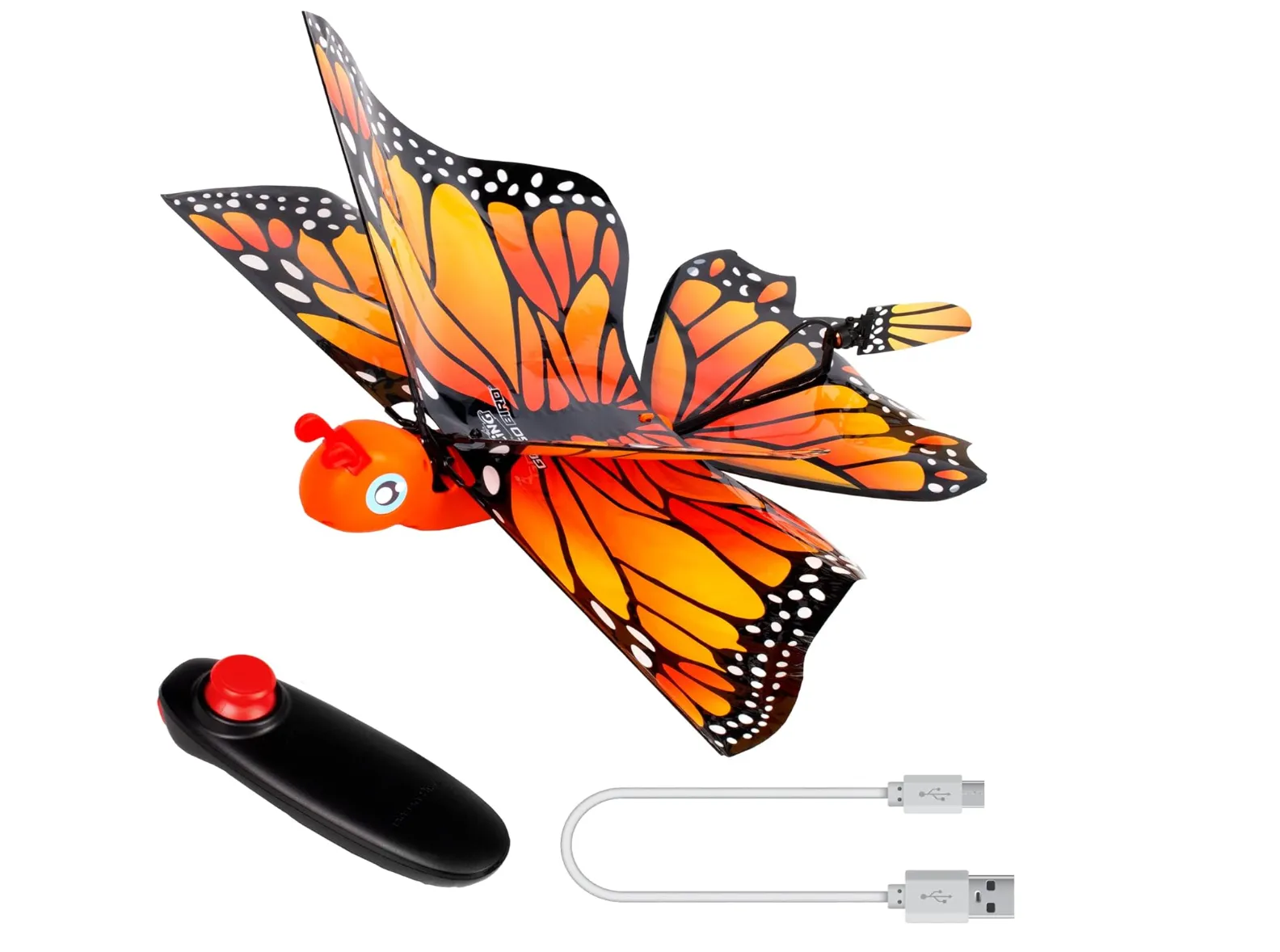 Go Go Bird Butterfly