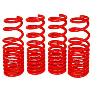 Lowering Springs - 96-00 Civic