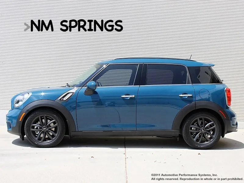NEUSPEED RSα Lowering Springs Kit • R60/R61