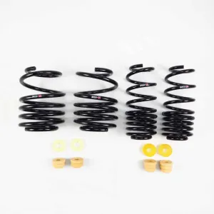 RS-R 2017  Honda Civic Type R (FK8) Super Down Sus Springs