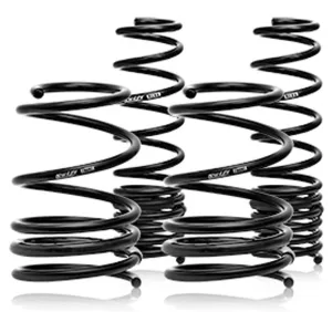 Swift Spec-R Lowering Springs Nissan 370Z (2009-2017) 4N905R
