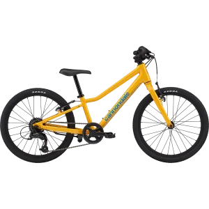 Youth Quick 20